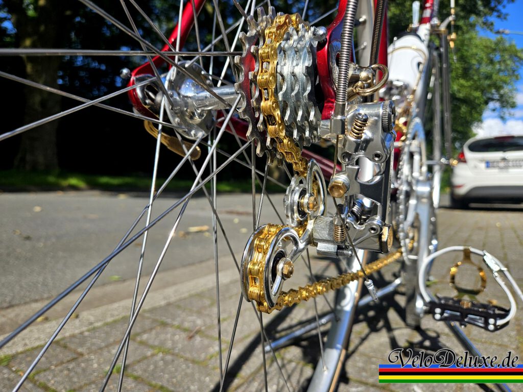 Colnago mit Campagnolo 50th - Schaltwerk von hinten