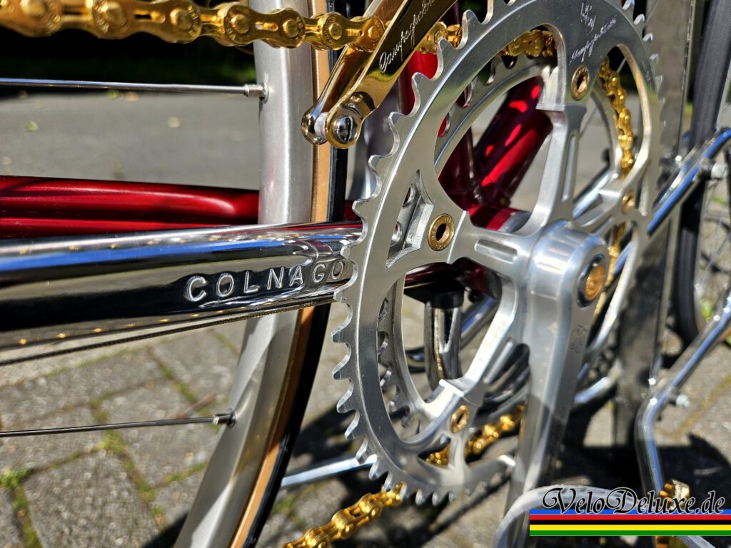 Colnago mit Campagnolo 50th - Kettenstrebe