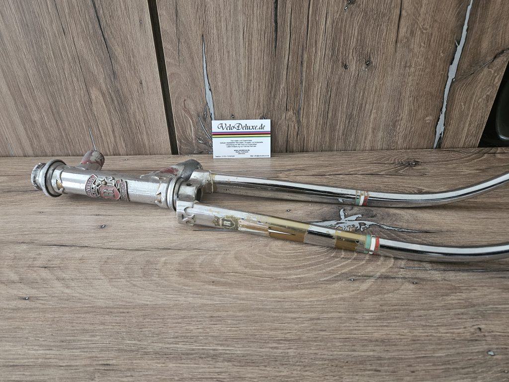 Rabeneick Campagnolo - Gabel + Steuerkopfschild