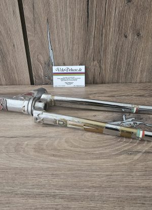 Rabeneick Campagnolo - Gabel + Steuerkopfschild