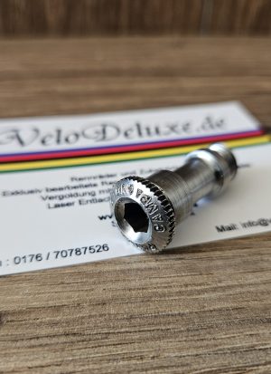 Campagnolo Bolzen für Schaltwerk - Nuovo Record