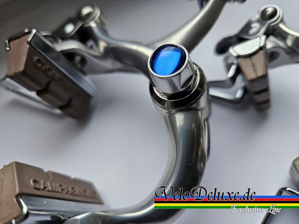 Cobalto Muttern - Blau für Campagnolo & Shimano