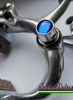 Cobalto Muttern - Blau für Campagnolo & Shimano