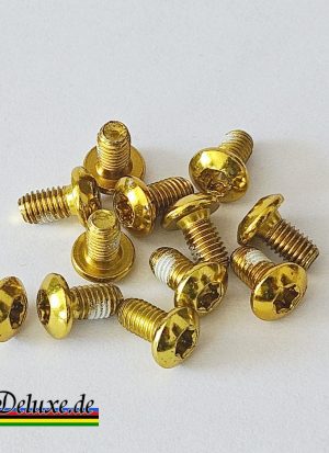 Schrauben für Scheibenbremsen - 12 x M5 x 9 - Gold