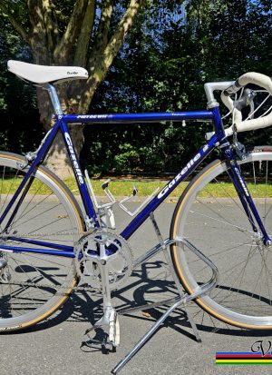 Gazelle - Piet de Wit Team - RH 55 - Top Zustand
