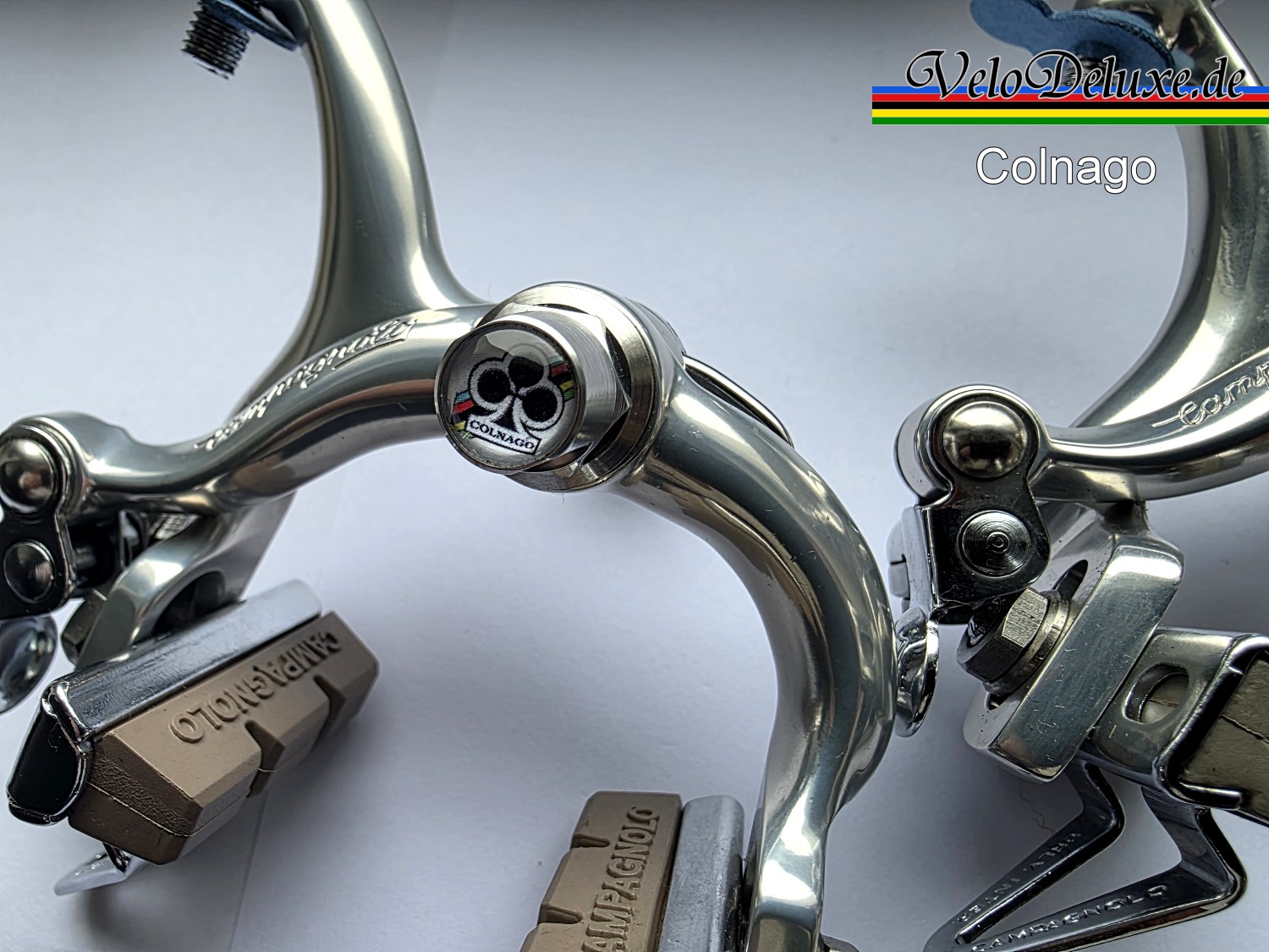 "Cobalto" Muttern - Colnago Weiß - The Legends