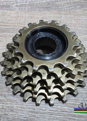 Regina Extra Synchro Schraubkranz - Gold - 6 Speed