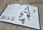 Campagnolo: Ein Unternehmen schreibt Fahrradgeschichte – Buch